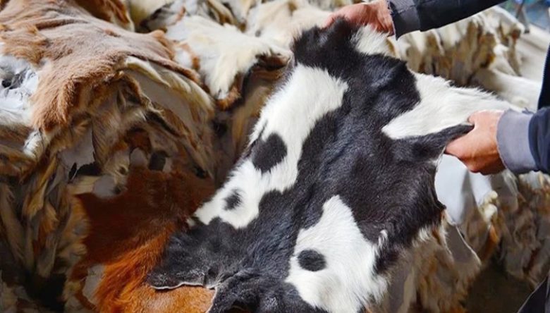 “KURBAN BAYRAMINDA İSRAF VE EZİYET OLMAMALI”
