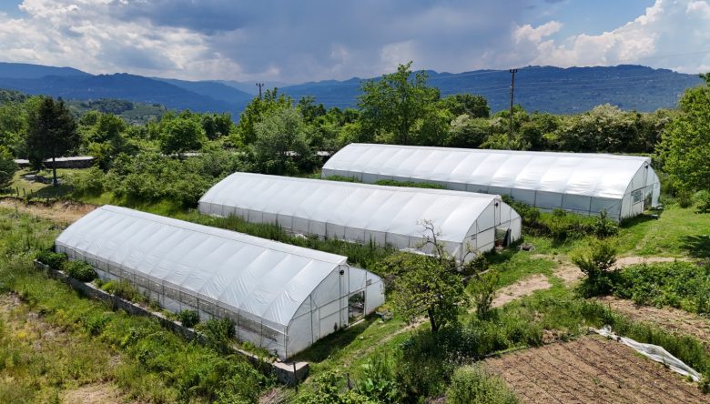 ÖRTÜ ALTI TARIMDA ORDU’NUN BAŞARISI BÜYÜYOR