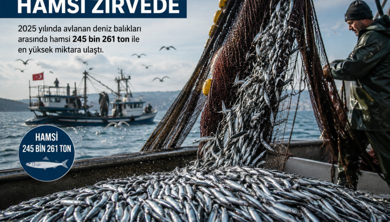 HAMSİ ZİRVEDEKİ YERİNİ KORUDU