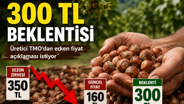 FINDIKTA ALARM ZİLLERİ