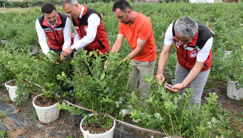HEDEFİMİZ ÜRETİMİ 100 TONUN ÜZERİNE ÇIKARMAK