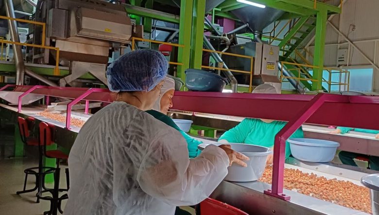 ORDU'DA GIDAYA SIKI DENETİM