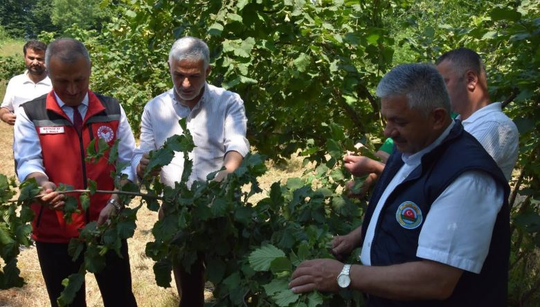 REKOLTE KOMİSYONU SAHAYA İNDİ!