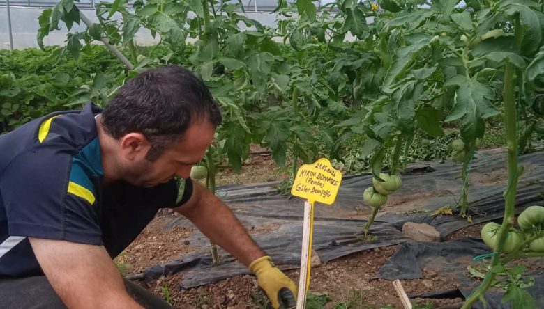 GENÇ TARIMCILARA SERADA UYGULAMALI EĞİTİM