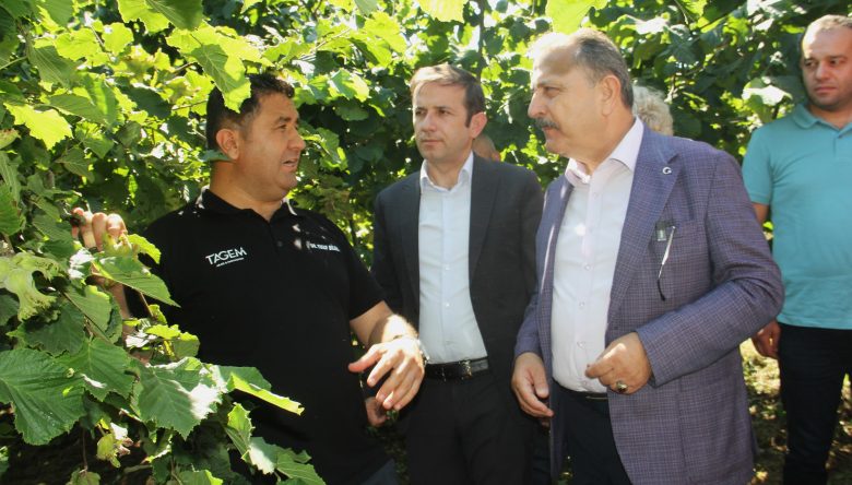 FINDIKTA DOĞRU ÇEŞİT VE RAKIM BELİRLENDİ