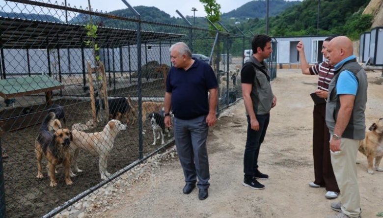 CAN DOSTLAR İÇİN GERİ SAYIM