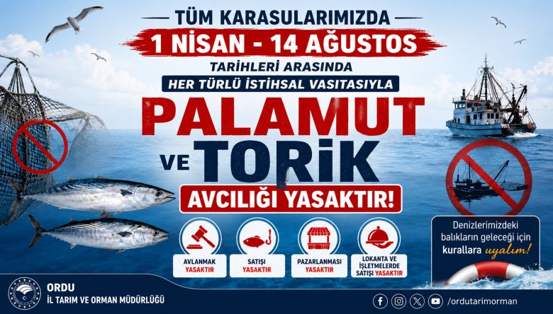 PALAMUT VE TORİK AVCILIĞINA 14 AĞUSTOS'A KADAR YASAK