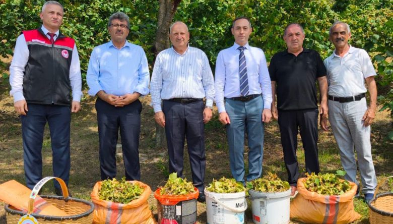 BAŞKAN TAVLI: “FINDIĞIN DEĞERİNİ DÜŞÜRMEYELİM”
