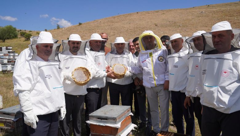 ÇANKIRI’DA BAL HASADI BULUŞMASI