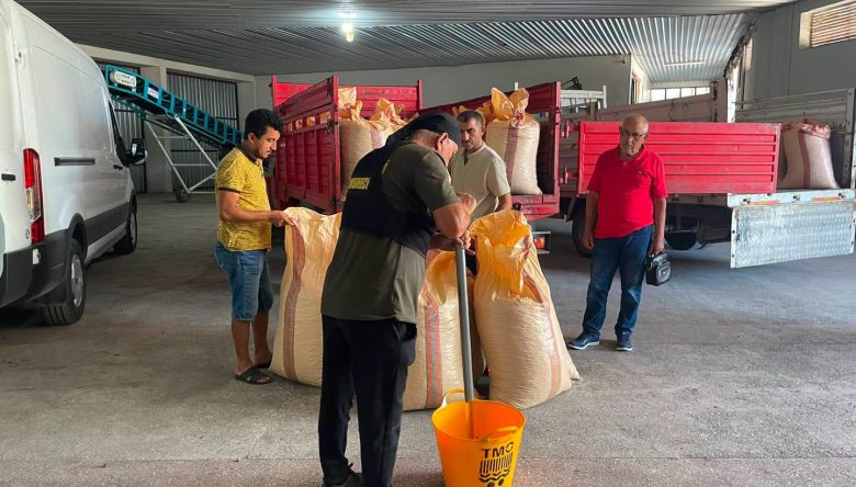 TMO İLK FINDIĞI 260 TL’DEN ALDI