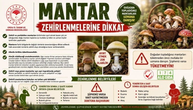 ORDU’DA VATANDAŞLARA MANTAR UYARISI