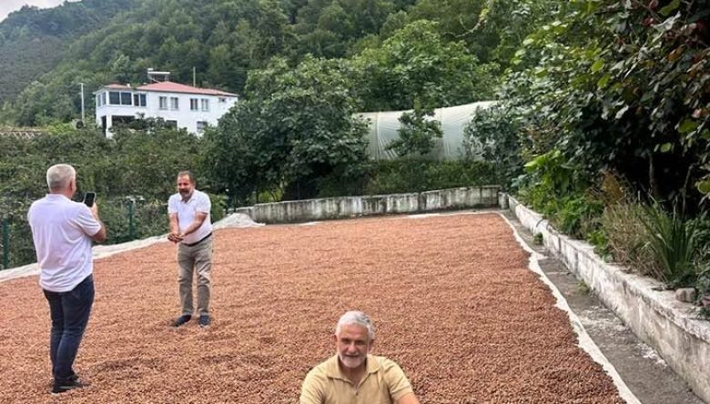 ESKİ FINDIĞI TMO’YA GÖTÜRMEYİN