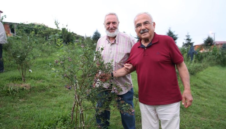 KÜÇÜK ALANDA YÜKSEK GELİR