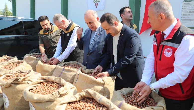 TMO’DAN FINDIK İÇİN KRİTİK ŞARTLAR