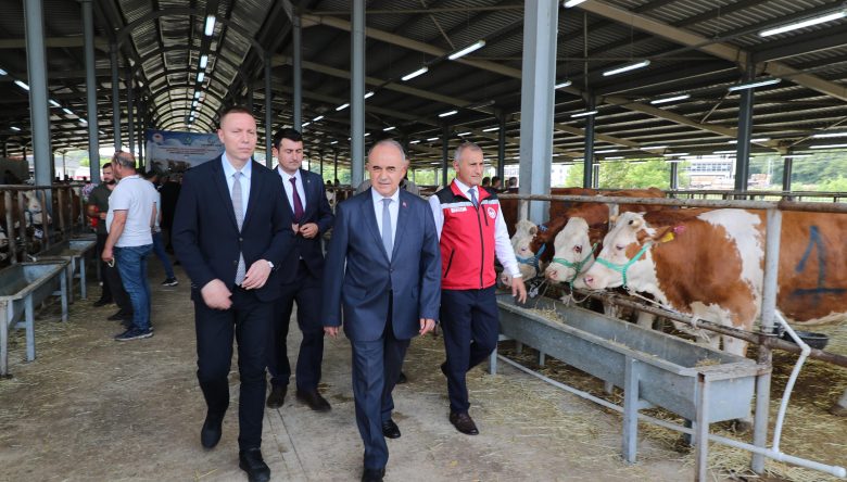 ORDU’DA HAYVANCILIĞA CAN SUYU   