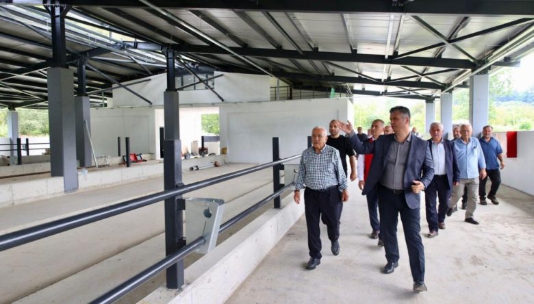 FATSA’DA HAYVANCILIK ATAĞI!