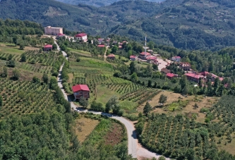 HAYALLER BİR BİR GERÇEK OLUYOR!