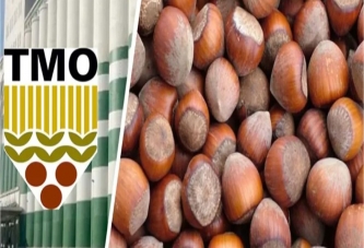 TMO 3 NOKTADA FINDIK ALACAK