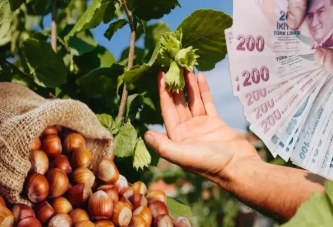 ÜRETİCİLERE ‘ZİRAİ DON’ ZARARLARI ÖDENECEK