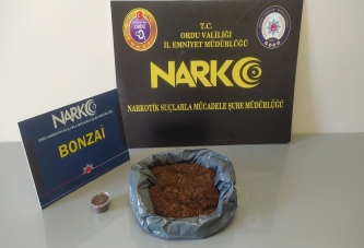 UYUŞTURUCU OPERASYONLARINDA 2 TUTUKLAMA